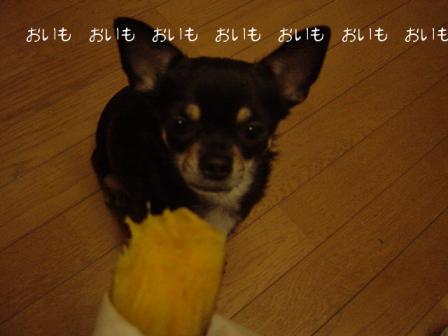 2007-11-02 00:31:44