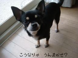 DSC07477.JPG