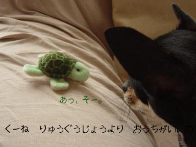 DSC06215.JPG