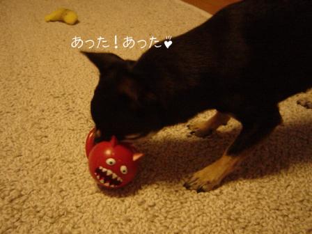 DSC04322.JPG