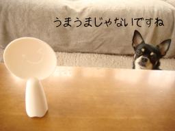 DSC07283.JPG