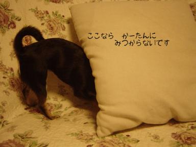 DSC05520.JPG