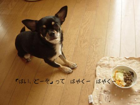 DSC04309.JPG