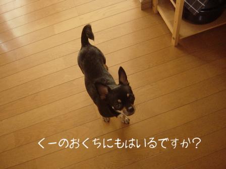 2007-09-12 01:24:50