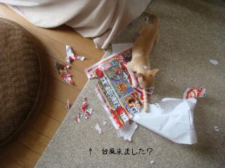 DSC05100.JPG