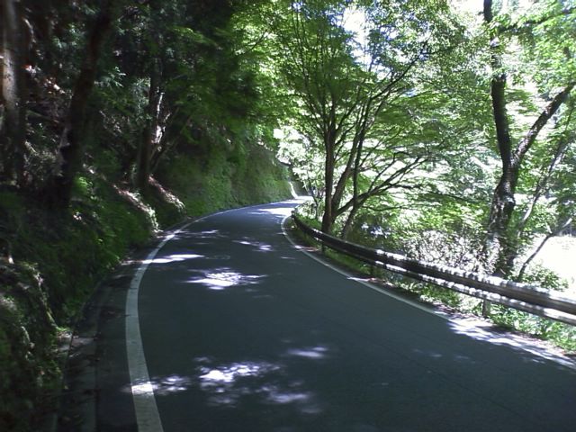 CA3B0012.jpg