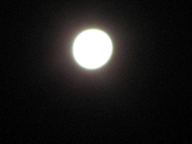 IMG_6401.JPG
