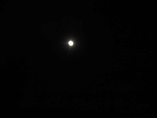 IMG_6372.JPG