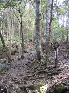 いきなり試練の上り坂