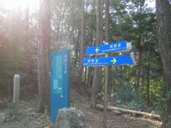 不寝王子（ねずおうじ）