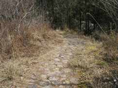 こんな石畳の道も