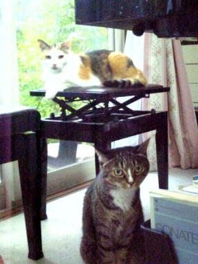 はぁ．．．やっと寝たか。