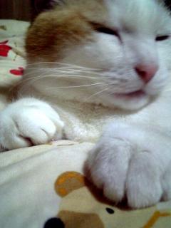 むむっ！やばやばっ！