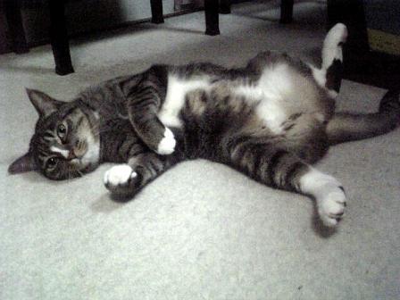 ピラリ～ンとなっ