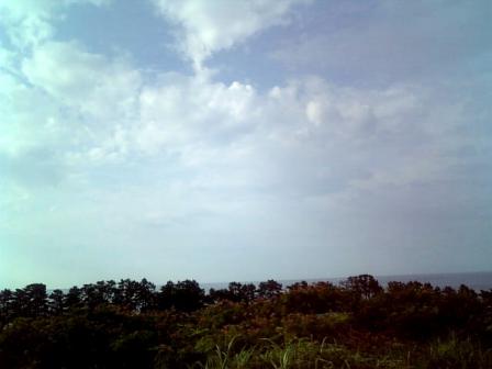 林の向こうに光る海