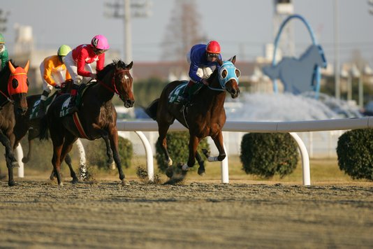 ２戦目はハナへ