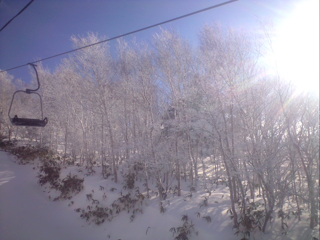 雪景色2.JPG