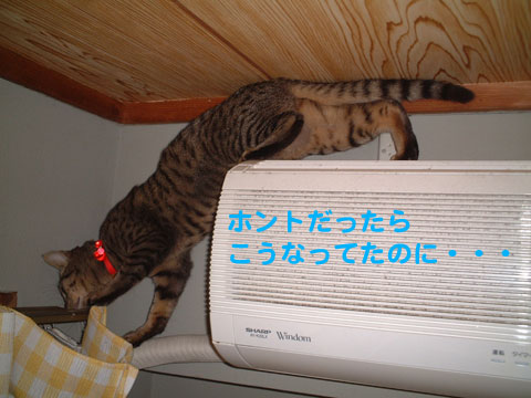 エアコン上から