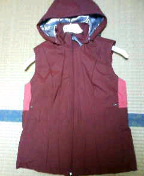 アンキ―ベスト.JPG