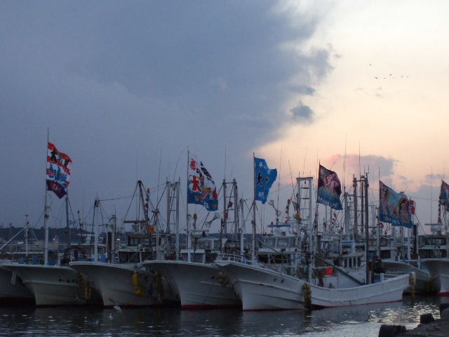 DSCF1434.JPG