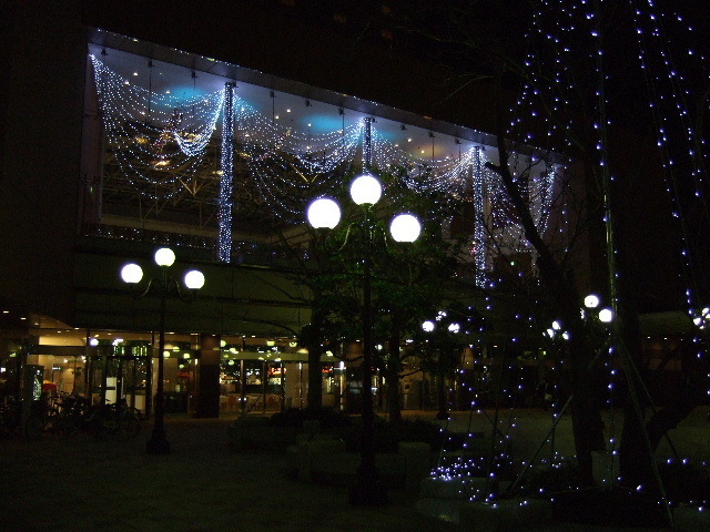 DSCF1445.JPG