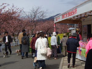 DSCF1589.JPG