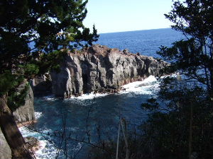 DSCF1565.JPG