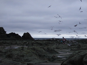 DSCF2437.JPG