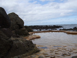 DSCF2470-1.JPG