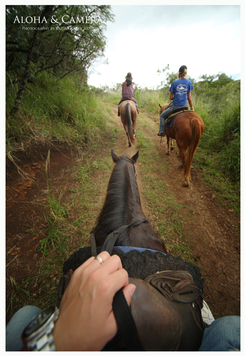 kualoa-ranch-041.jpg