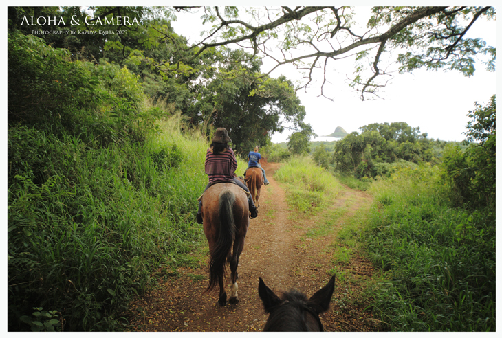 kualoa-ranch-035.jpg