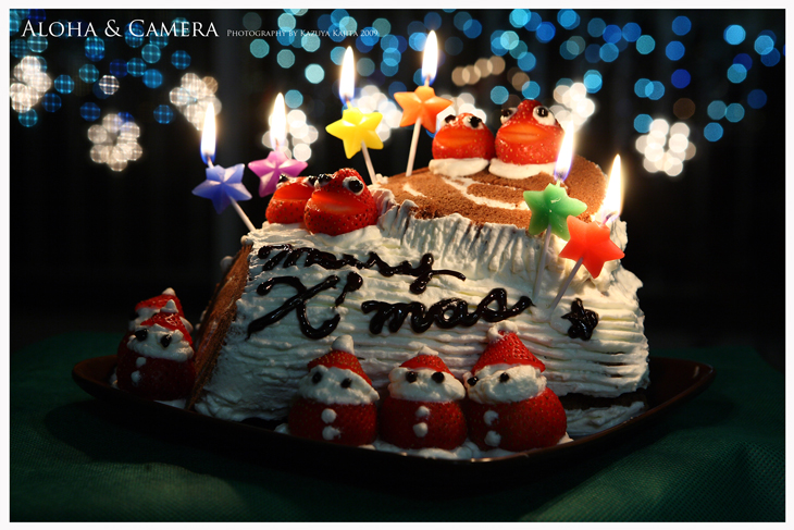 x'mas-2009-cake.jpg