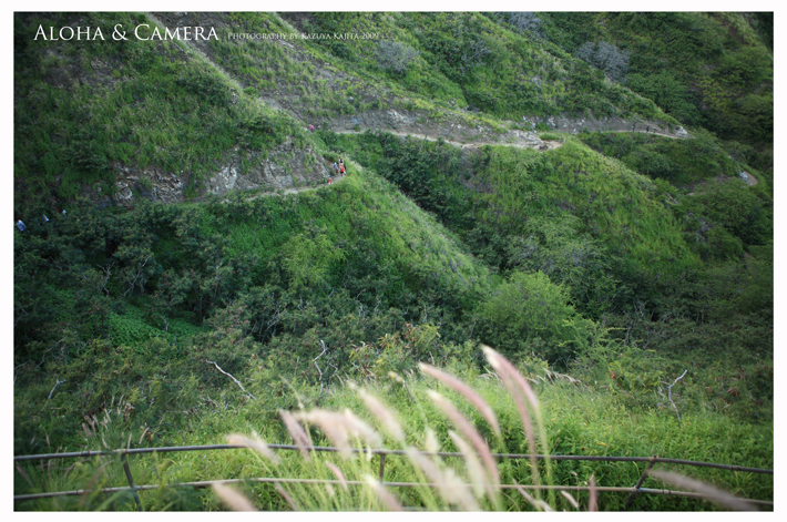 登山道　１