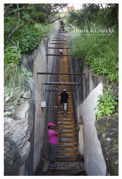 登山道　３