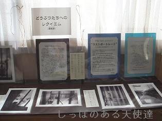 ラストポートレート