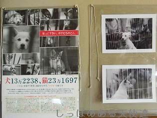 ラストポートレート