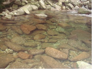 とても綺麗な川のお水