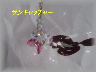 CA370668.JPG