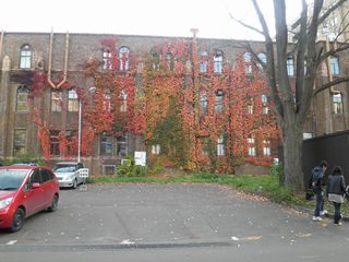 PB020029.JPG