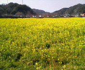 P1000006.JPG