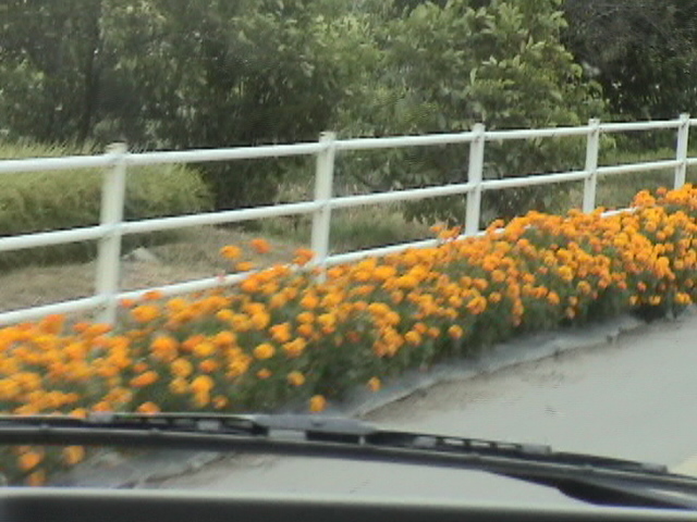 DSC01624.JPG