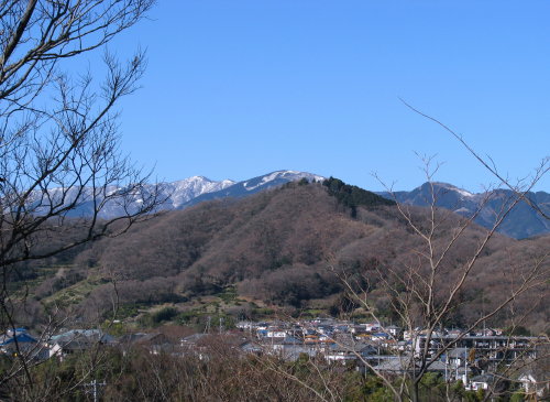 弘法山(冬).jpg