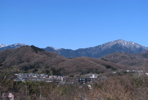 うちの裏山(冬).jpg