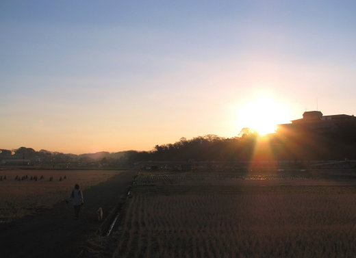 里山に朝日が昇る.jpg