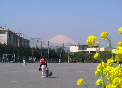 団地の校庭２.jpg