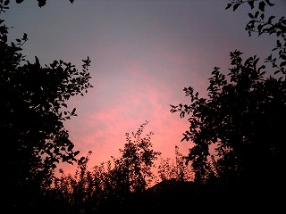 s-Image561.jpg