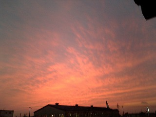 s-Image560.jpg
