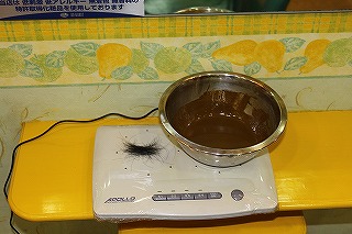 20100109-IMG_5068.jpg