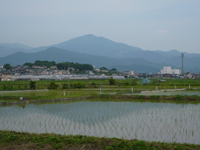 丹沢.JPG