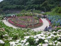 DSCN5479.JPG